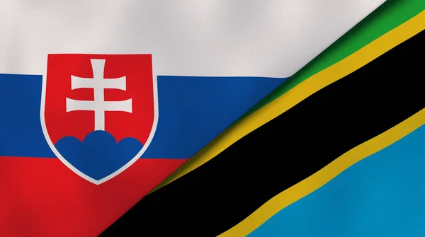Dos Estados Banderas Eslovaquia Tanzania Fondo Negocio Alta Calidad Ilustración —  Fotos de Stock