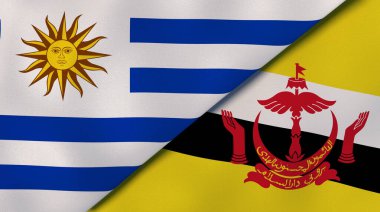 Uruguay ve Brunei 'nin iki bayrağı. Kaliteli bir iş geçmişi. 3d illüstrasyon