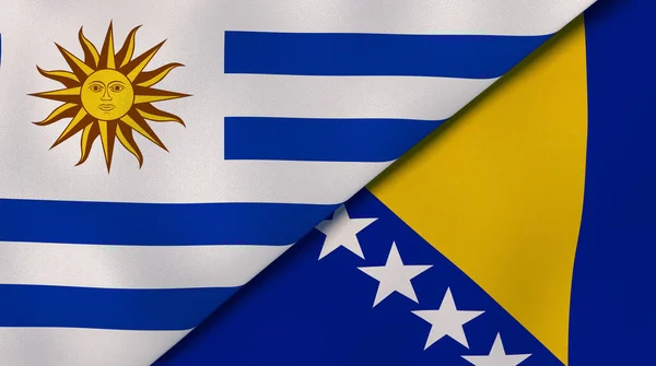 乌拉圭和波斯尼亚和黑塞哥维那的两个国家的国旗 高质量的商业背景 3D说明 — 图库照片