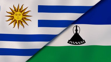 Uruguay ve Lesotho 'nun iki eyaleti. Kaliteli bir iş geçmişi. 3d illüstrasyon