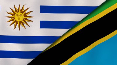 Uruguay ve Tanzanya 'nın iki bayrağı. Kaliteli bir iş geçmişi. 3d illüstrasyon