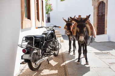 Yunan eşek - Lindos, Rodos Adası, ünlü turistik sembolü. Yunanistan