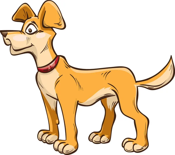 Perro naranja en collar — Vector de stock