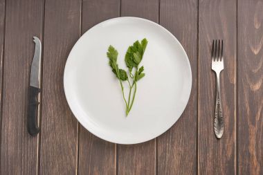 plaka tahtaya yeşillikleri ile