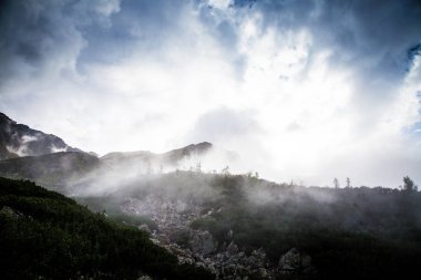 Ağaç çizgisinin üstündeki güzel dağ manzarası