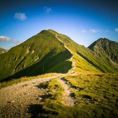 Ağaç çizgisinin üstündeki güzel dağ manzarası