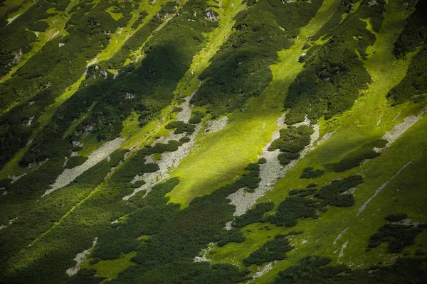 Een prachtig berglandschap boven de boomgrens — Stockfoto