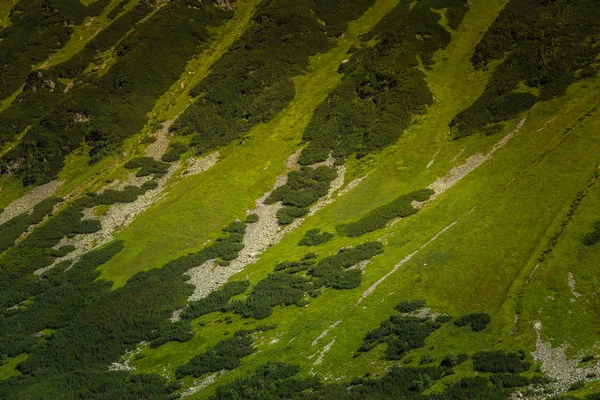 Krásná horská krajina nad stromy — Stock fotografie