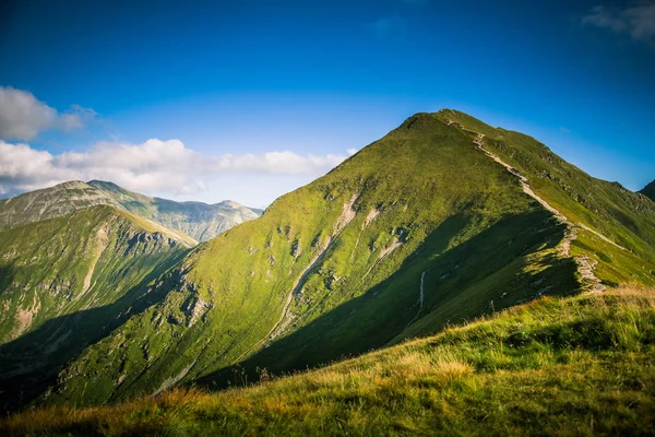 트리 선 위에 아름 다운 산 풍경 — 스톡 사진