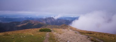 Ağaç çizgisinin üstündeki güzel dağ manzarası