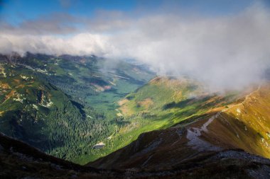 Ağaç çizgisinin üstündeki güzel dağ manzarası