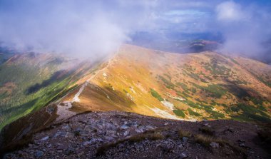Ağaç çizgisinin üstündeki güzel dağ manzarası