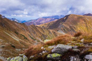 Ağaç çizgisinin üstündeki güzel dağ manzarası