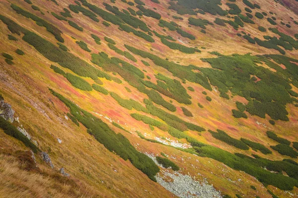 Un beau paysage de montagne au-dessus de la limite des arbres — Photo