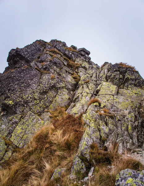 ツリーの行の上の美しい山の風景 — ストック写真