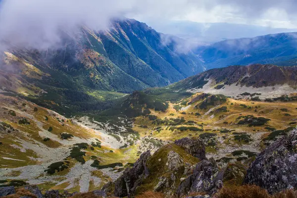 ツリーの行の上の美しい山の風景 — ストック写真
