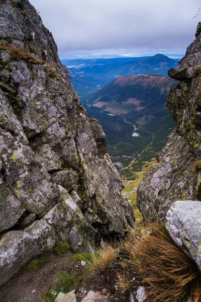 Ένα πανέμορφο ορεινό τοπίο πάνω από τη ΔΕΝΤΡΟ-γραμμή — Φωτογραφία Αρχείου