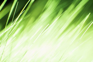 Soyut makro kürk yeşil tonlarında. Alan, sanatsal renkler, dekoratif bir görünüm sığ derinliği.