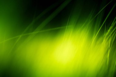 Soyut makro kürk yeşil tonlarında. Alan, sanatsal renkler, dekoratif bir görünüm sığ derinliği.