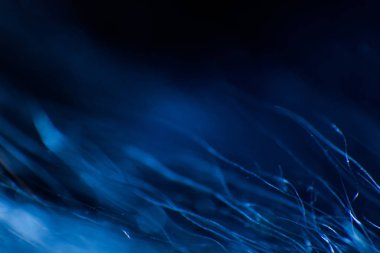 Soyut makro mavi tonlarda kürk. Alan, sanatsal renkler, dekoratif bir görünüm sığ derinliği.