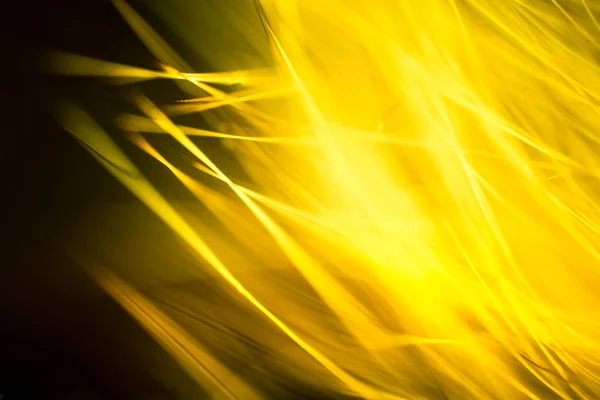 Αφηρημένη μακροεντολή της γούνας σε κίτρινες αποχρώσεις. Μικρό βάθος πεδίου, καλλιτεχνική χρώματα, διακοσμητικό βλέμμα. — Φωτογραφία Αρχείου