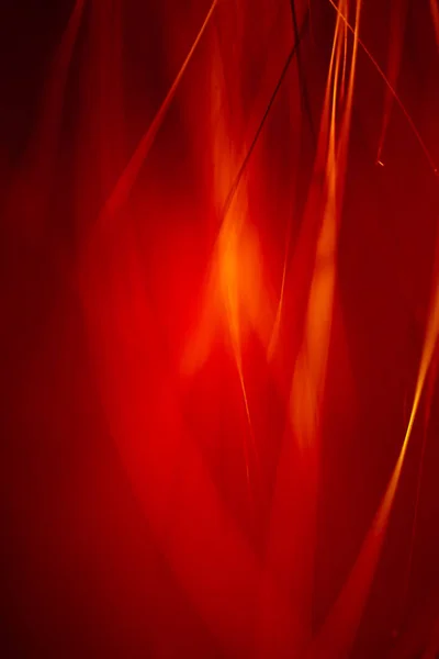 Abstrakta makro av päls i röda toner. Grunt djup av fält, konstnärliga färger, dekorativa utseende. — Stockfoto