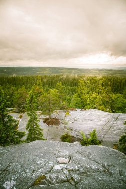 Göl ve orman Koli Milli Parkı zirveleri üzerinden güzel bir Panoraması