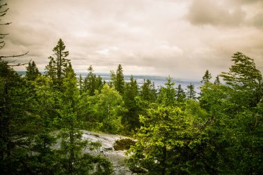 Göl ve orman Koli Milli Parkı zirveleri üzerinden güzel bir Panoraması