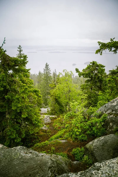 Göl ve orman Koli Milli Parkı zirveleri üzerinden güzel bir Panoraması