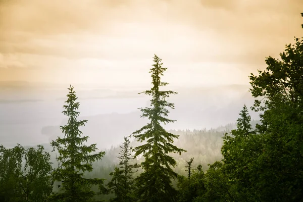 Göl ve orman Koli Milli Parkı zirveleri üzerinden güzel bir Panoraması