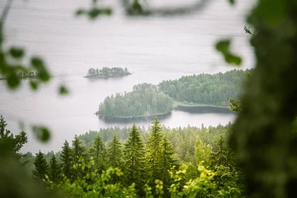 Nádherné panorama jezera a Les od národní park Koli vrcholy — Stock fotografie