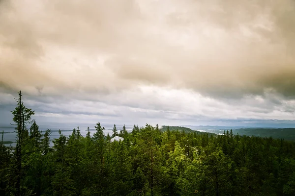 Göl ve orman Koli Milli Parkı zirveleri üzerinden güzel bir Panoraması