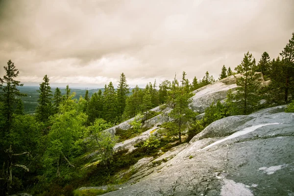 Göl ve orman Koli Milli Parkı zirveleri üzerinden güzel bir Panoraması