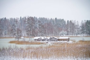 Kuzey Avrupa'nın güzel kış manzarası