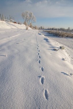 Kuzey Avrupa'nın güzel kış manzarası