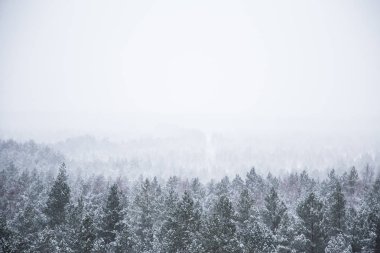 Kuzey Avrupa'nın güzel kış manzarası