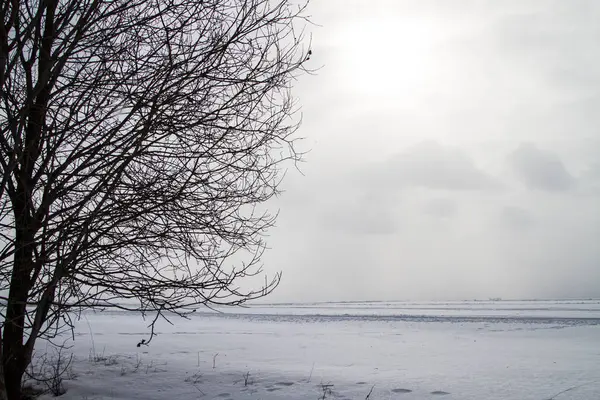 Un beau paysage hivernal en Europe nordique — Photo