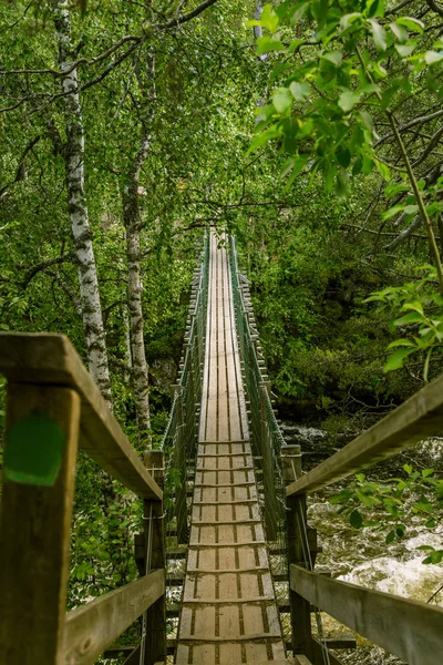 En vacker hängbro i skogen i Finland — Stockfoto