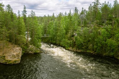 Finlandiya'da güzel bir nehir manzarası