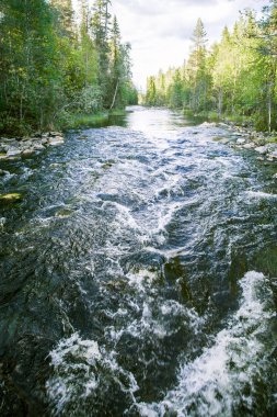Finlandiya'da güzel bir nehir manzarası