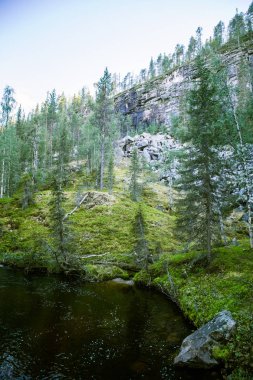 Finlandiya'da güzel bir nehir manzarası