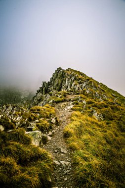 Karpat Dağları, Romanya güzel dağ manzarası