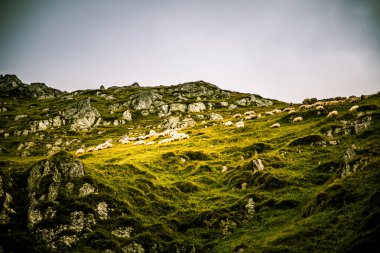 Karpat Dağları, Romanya güzel dağ manzarası