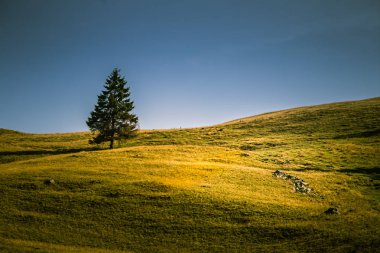 Karpat Dağları, Romanya güzel dağ manzarası