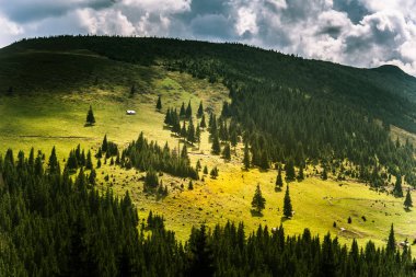 Karpat Dağları, Romanya güzel dağ manzarası
