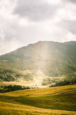 Karpat Dağları, Romanya güzel dağ manzarası