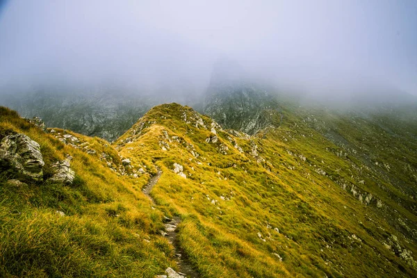 Ένα πανέμορφο ορεινό τοπίο στα Καρπάθια Όρη, Ρουμανία — Φωτογραφία Αρχείου