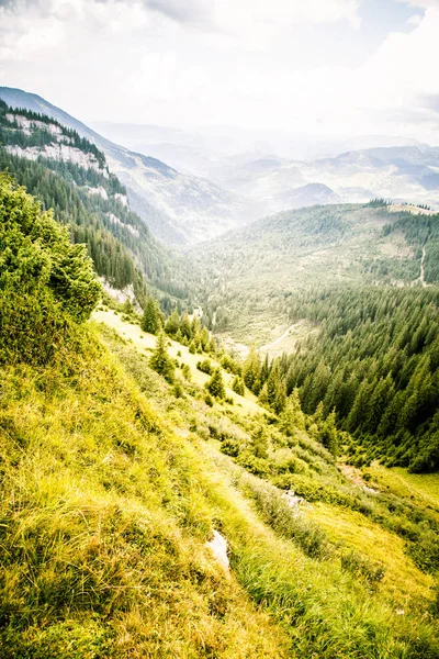 카 르 파 티아 산맥, 루마니아에서에서 아름 다운 산 풍경 — 스톡 사진