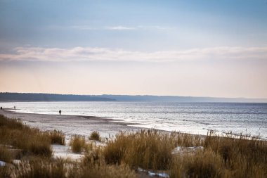 Tepeleri Baltık Denizi sahil şeridi üzerinde güzel bir manzara