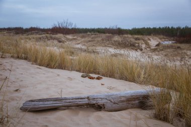 Tepeleri Baltık Denizi sahil şeridi üzerinde güzel bir manzara